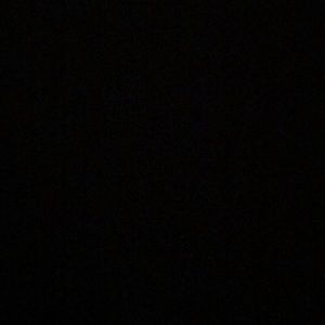 Meet your Posher, Paige